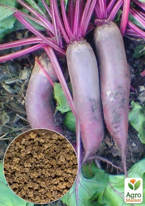 На вагу Буряк "Рокет" ТМ "Весна" ціна за 10г