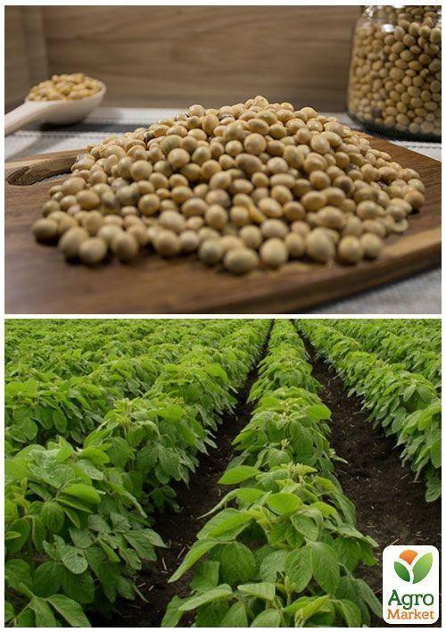 На вагу Соя ТМ "Весна" ціна за 30г - фото 2