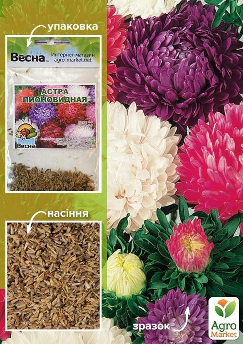 Айстра "Півоновидна суміш" (Зипер) ТМ "Весна" 0,5г