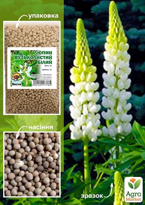 Люпин узколистный "Белый" ТМ "Весна" 1 КГ