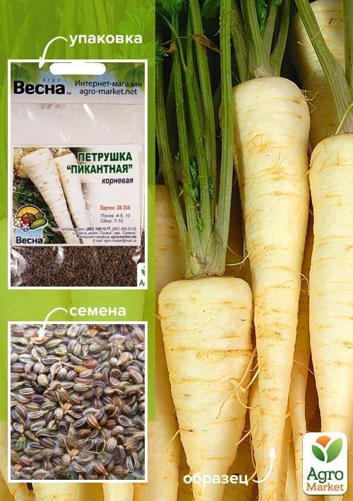 Петрушка корневая "Пикантная" (зипер) ТМ "Весна" 5г