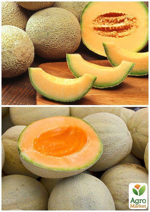 На развес Дыня "Ананас" ТМ "Весна" цена за 5г - фото 2