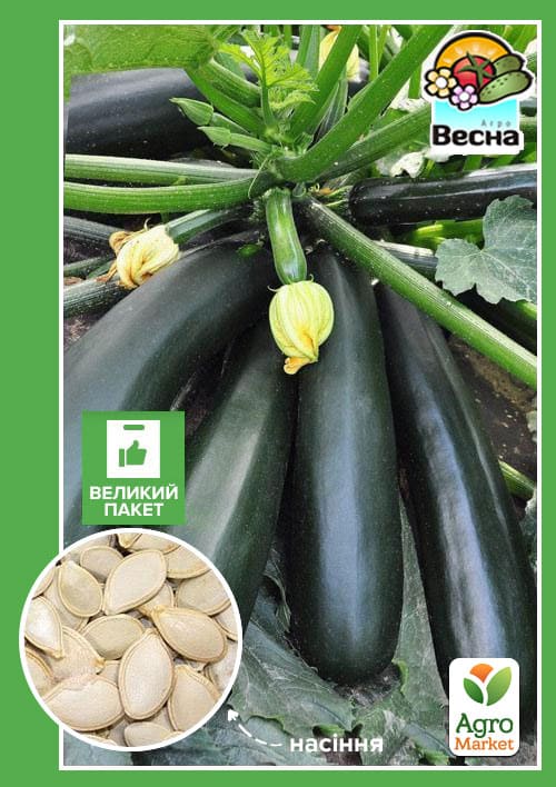 Кабачок "Чорний Красень" (Великий пакет) ТМ "Весна" 4г