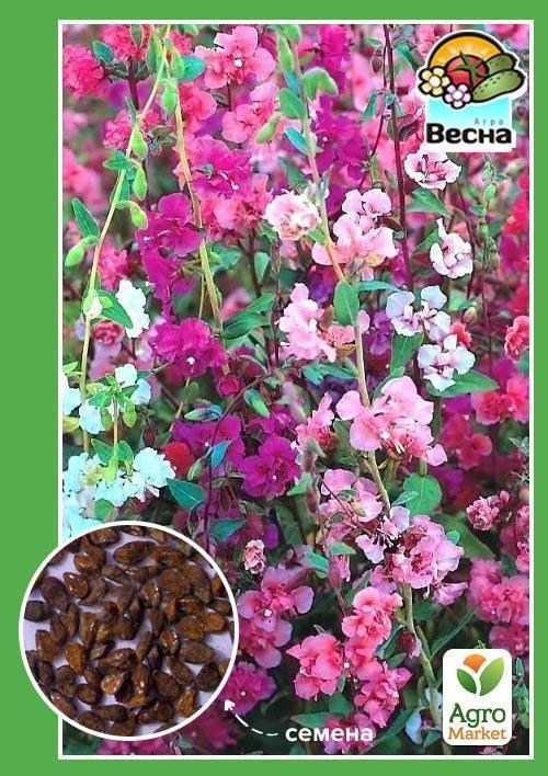 Кларкия однолетник "Махровая" ТМ "Весна" 0.3г