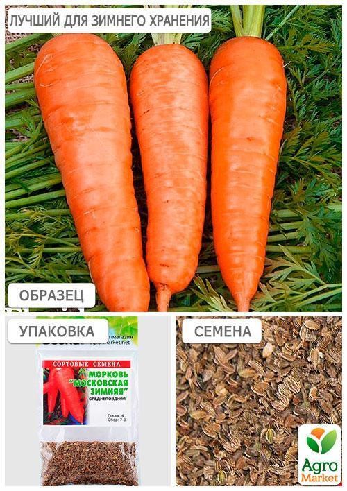 Морква "Московська зимова" (Зипер) ТМ "Весна" 5г - фото 3