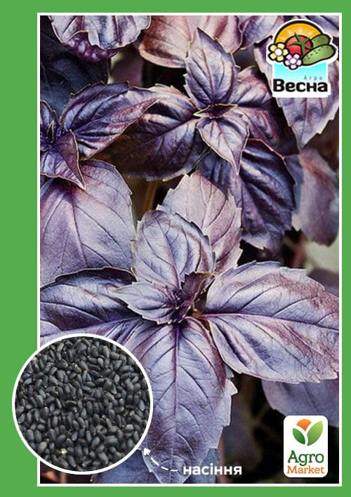 Базилік "Фіолетовий" (Великий пакет) ТМ "Весна" 1г