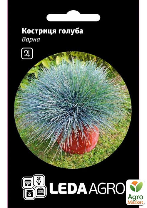 Костриця голуба "Варна" ТМ "Leda Agro" 0,2г