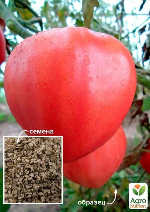 На развес Томат "Буденовка розовый" ТМ "Весна" цена за 1г