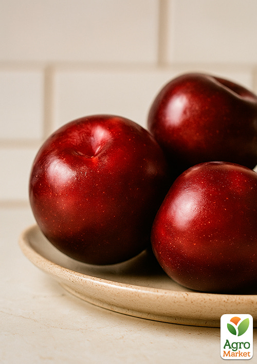 Ексклюзив! Слива "Анжеліно" (осінній сорт, пізній термін дозрівання) - фото 5