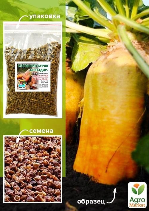 Свекла Кормовая "Бригадир" ТМ "Весна" 100г