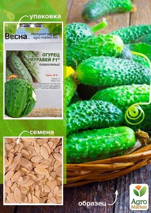 Огурец "Муравей F1" (Зипер) ТМ "Весна" 10шт