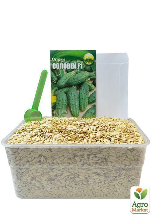 На развес Огурец "Соловей F1" ТМ "Весна" цена за 4г - фото 2