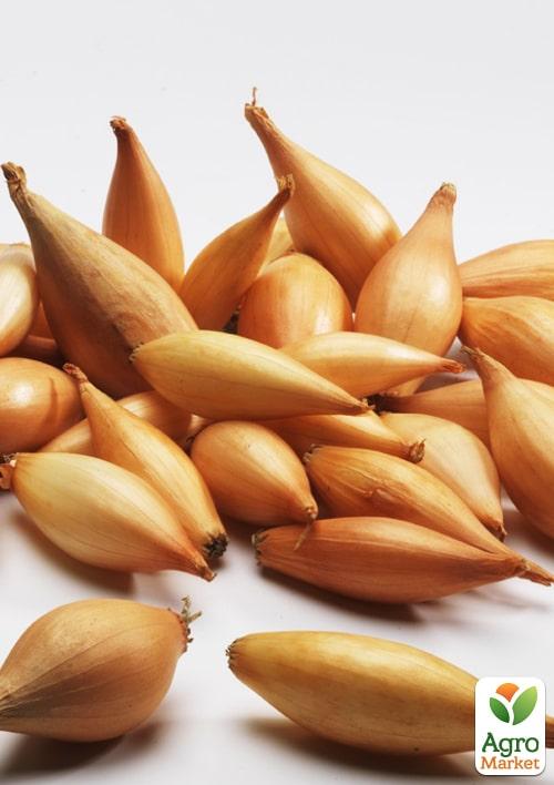 Лук-шалот 1кг (арбажейка) "Деликатес" (Украина)