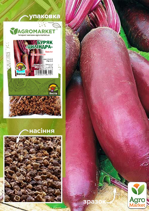 Буряк "Циліндра" (Зипер) ТМ "Весна" 6г