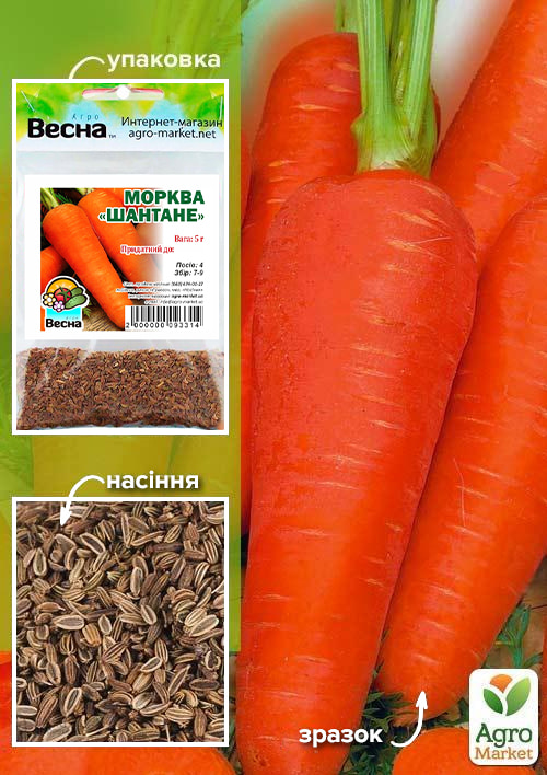 Морковь "Шантане" (Зипер) ТМ "Весна" 5г