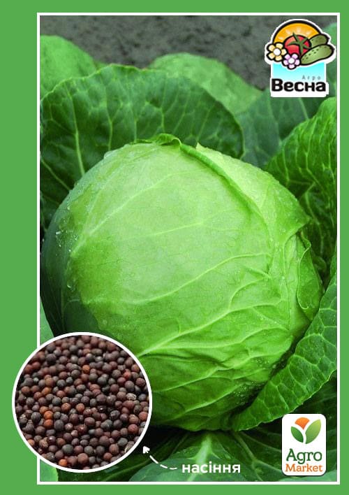 Капуста "Червнева" ТМ "Весна" 0.5г