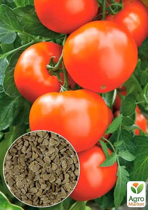 На развес Томат "Леди Совершенство" ТМ "Весна" цена за 1г