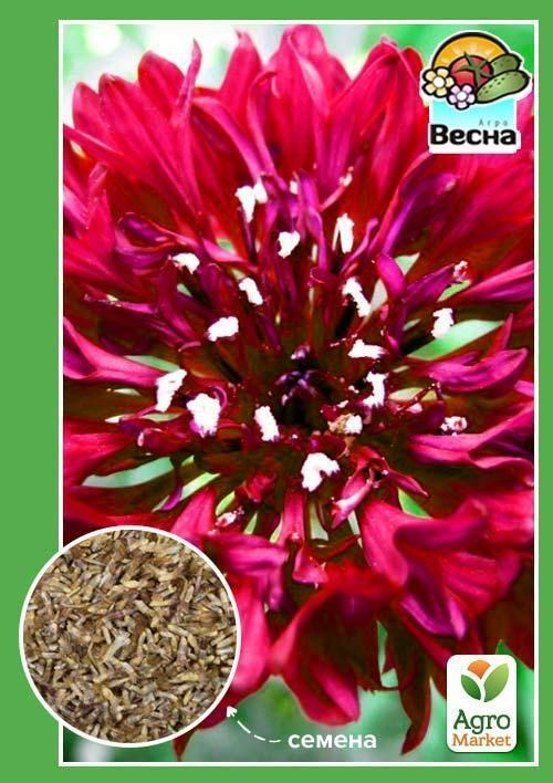 Волошка "Махровий червоний" ТМ "Весна" 0.3г