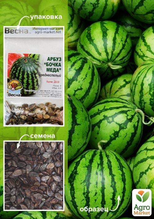 Кавун "Бочка меду" (Зипер) ТМ "Весна" 4г