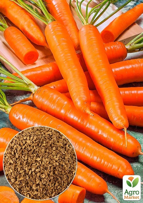 На развес Морковь "Руфина" ТМ "Весна" цена за 10г