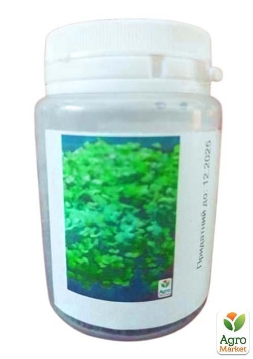 Микрозелень "Кольраби" (в банке) ТМ "Твоя Зеленая Весна" 7г - фото 2