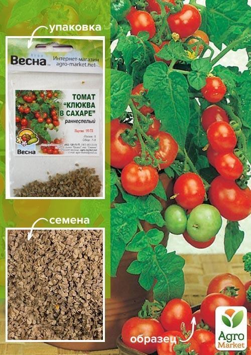 Томат "Журавлина в цукрі" (Зипер) ТМ "Весна" 0.5г