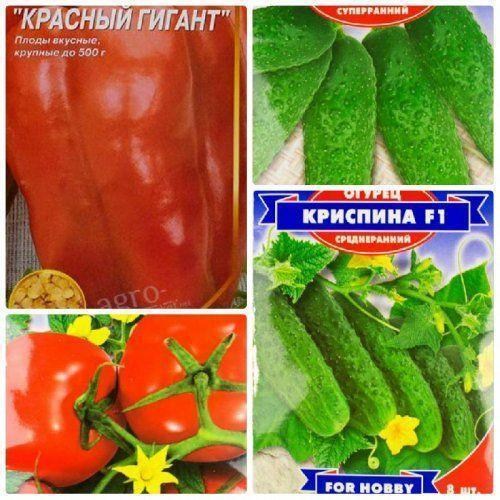 Комплект насіння овочів "Довгоочікувана грядка" 10уп