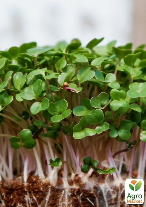 Проращиватель (спаутер) + набор семян микрозелени №1 ТМ "BIO Natura"  - фото 3