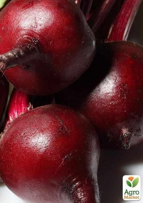 Свекла "Винегретная" (в банке) ТМ "Весна Органик" 20г