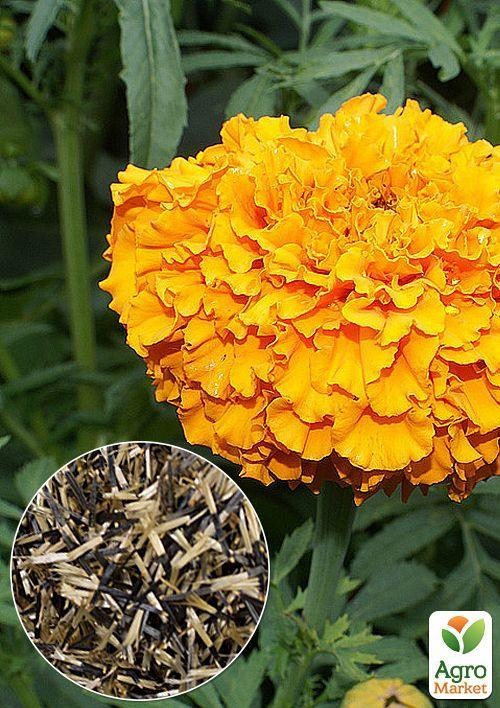 На развес Бархатцы "Валенсия" ТМ "Весна" цена за 2г