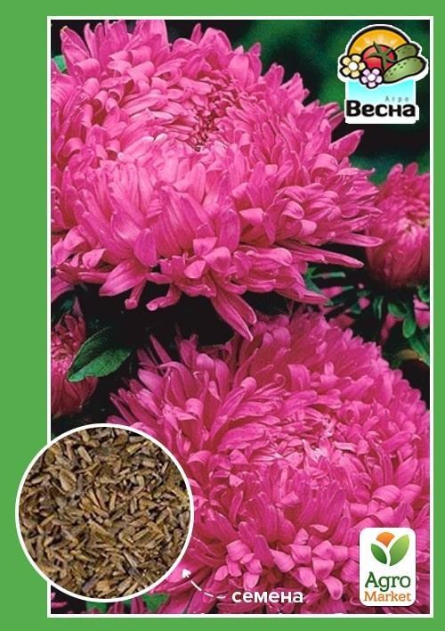 Астра "Букетная" розовая ТМ "Весна" 0.2г