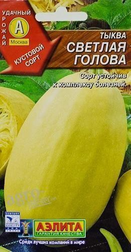 Тыква "Светлая голова" ТМ "АЭЛИТА" 1г