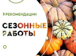Садові роботи в вересні: чек-лист важливих справ - корисні статті про садівництво від Agro-Market