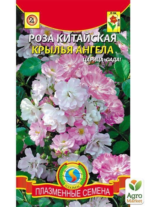 Роза китайська "Крила Ангела" ТМ "Плазмові насіння" 10шт