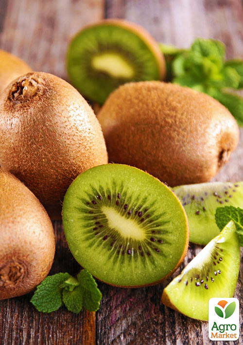 Киви "Бруно" (один из лучших сортов)
