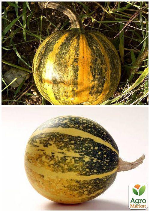 На развес Тыква "Украинка" ТМ "Весна" цена за 10г - фото 2