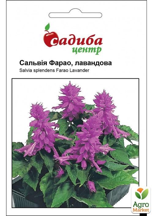 Сальвія «Фарао» лавандова ТМ «Садиба центр» 0.1г