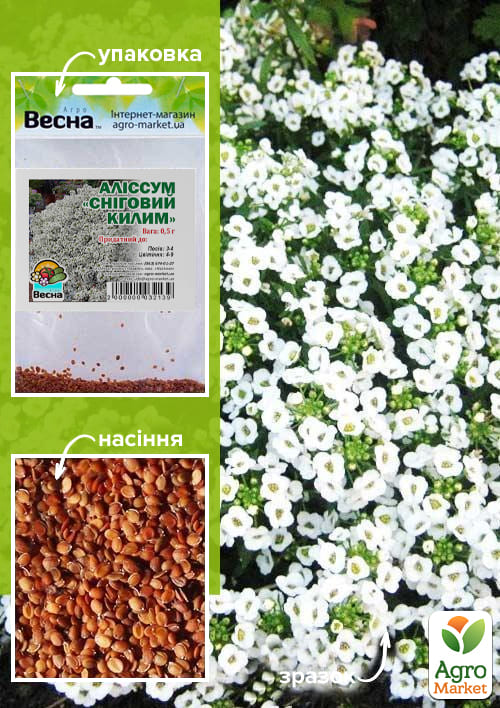 Аліссум Сніговий килим (Зипер) ТМ "Весна" 0,5г
