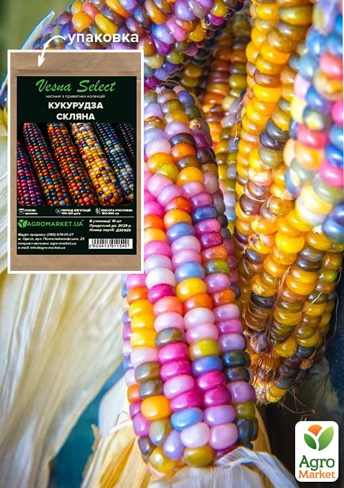 Кукуруза "Стеклянная" ТМ "Vesna Select" 10шт