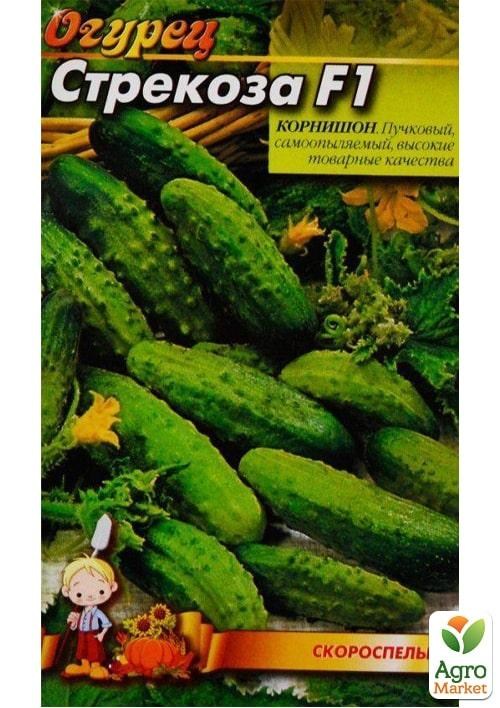 Огірок "Стрекоза F1" ТМ "Весна"  0.25г - фото 2