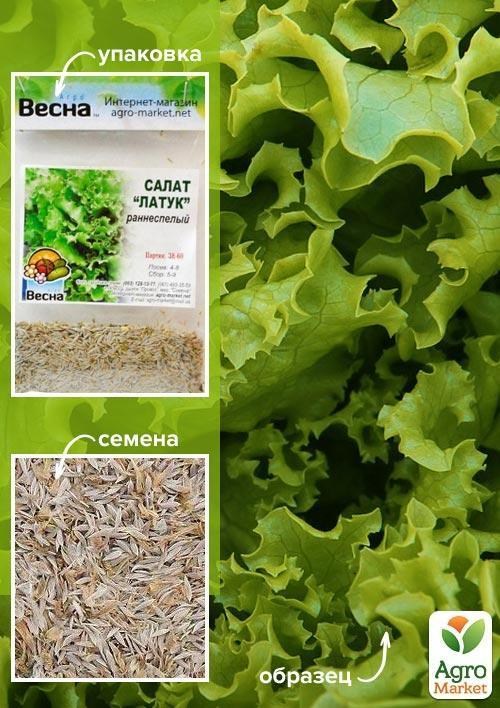 Салат "Латук" (Зипер) ТМ "Весна" 3г