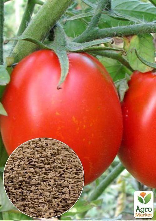 На развес Томат "Де-барао красный гигант" ТМ "Весна" цена за 1г