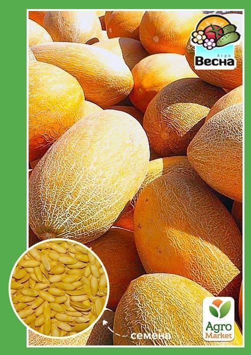 Дыня "Алушта" ТМ "Весна" 1.5г