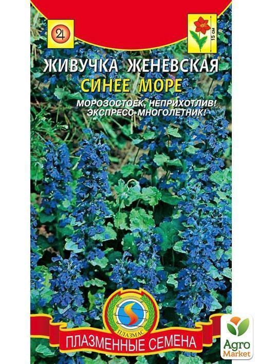Живучка женевська "Синє море" ТМ "Плазмові насіння" 10шт
