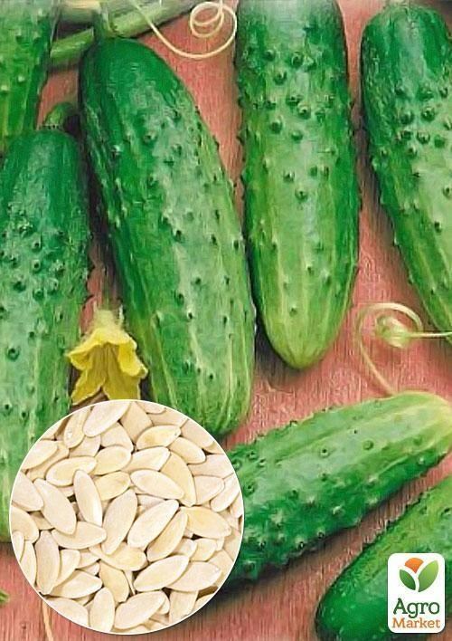 На вагу Огірок "Цезар F1" ТМ "Весна" ціна за 4г