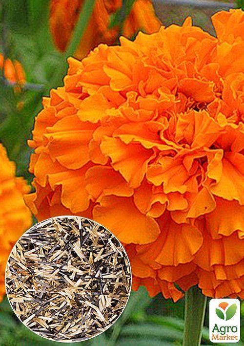 На развес Бархатцы "Гавайи" ТМ "Весна" цена за 2г