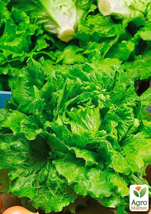 Салат "Ольжич" (Зипер) ТМ "Весна" 3г