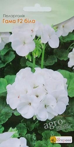 Пеларгония "Гамма F2 белая" ТМ "Яскрава" 5шт