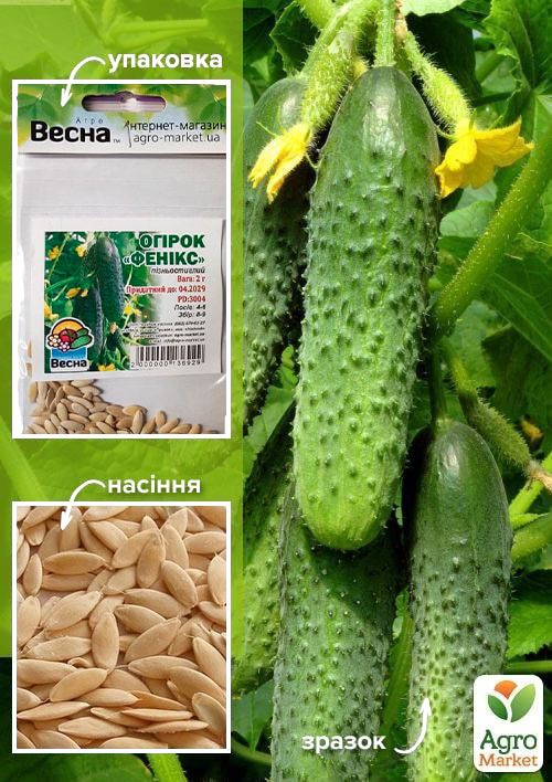 Огурец "Феникс" (Зипер) ТМ "Весна" 2г