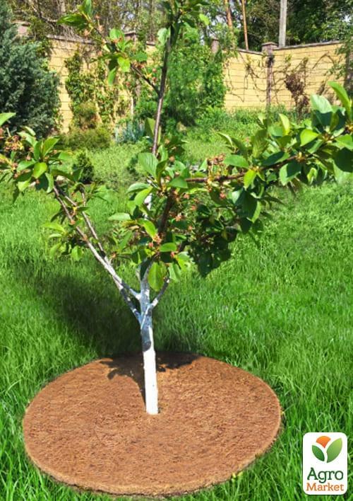 Пристовбурове коло EuroCocos з кокосового волокна d-60 см - фото 3